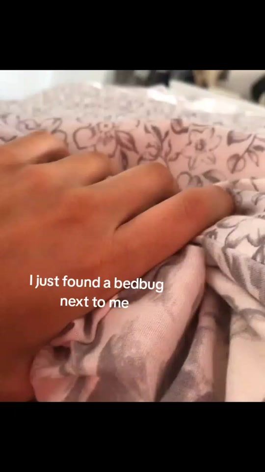 TikTok video thumbnail by parrotzeetvs