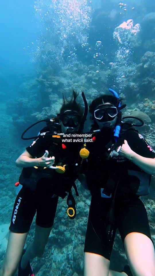 TikTok video thumbnail by allisonthorne8