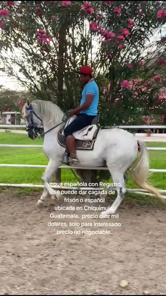 TikTok video thumbnail by rancholaslomaschiquimula