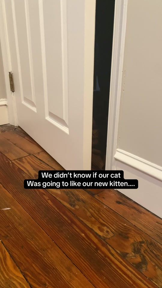 TikTok video thumbnail by karainphilly