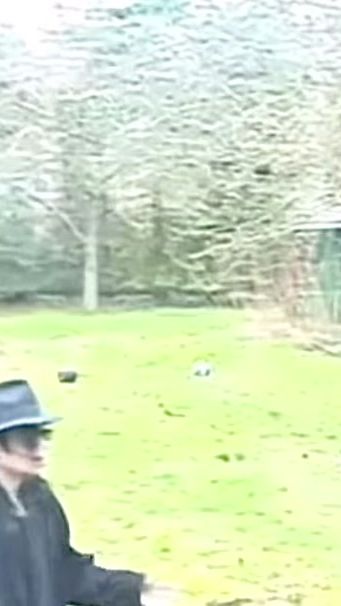 TikTok video thumbnail by appleheadlover777