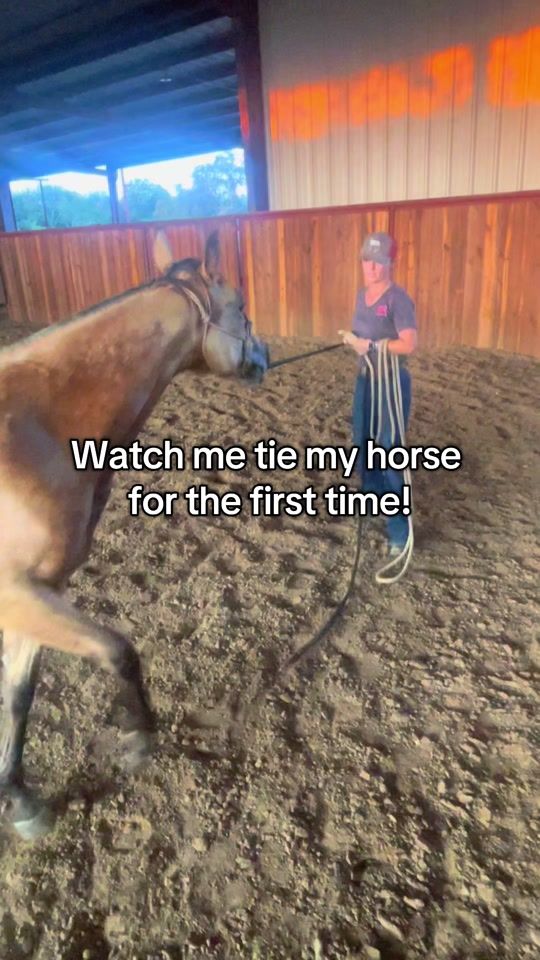 TikTok video thumbnail by meredithgraber1