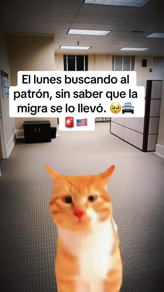 TikTok video thumbnail by francisco.genel