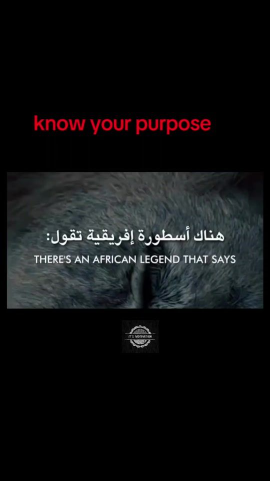 TikTok video thumbnail by itsmotivation8