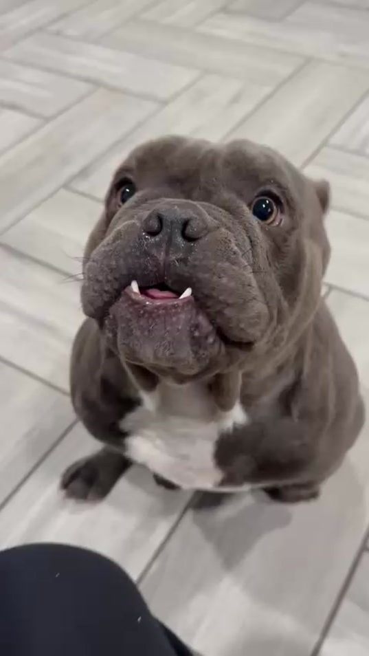 TikTok video thumbnail by silvana_ml