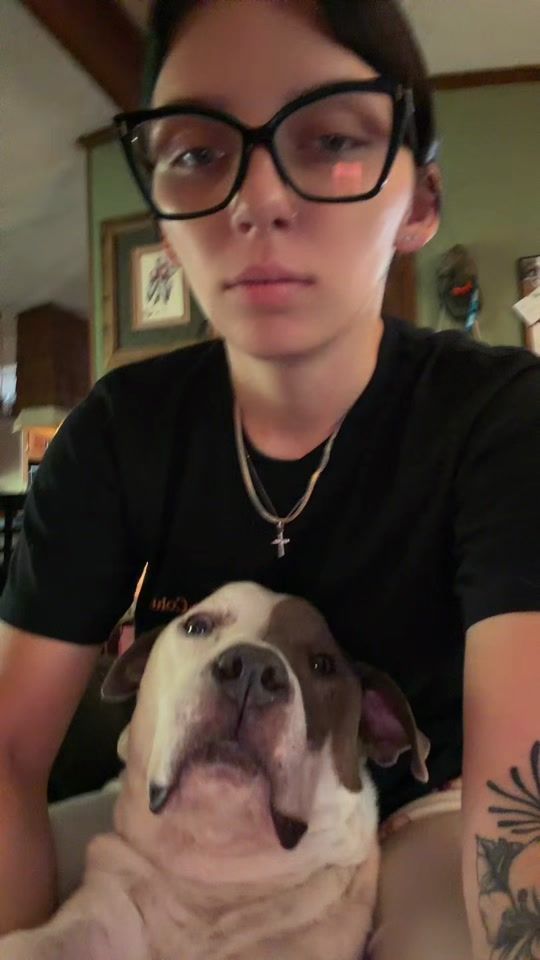 TikTok using Bang Bang