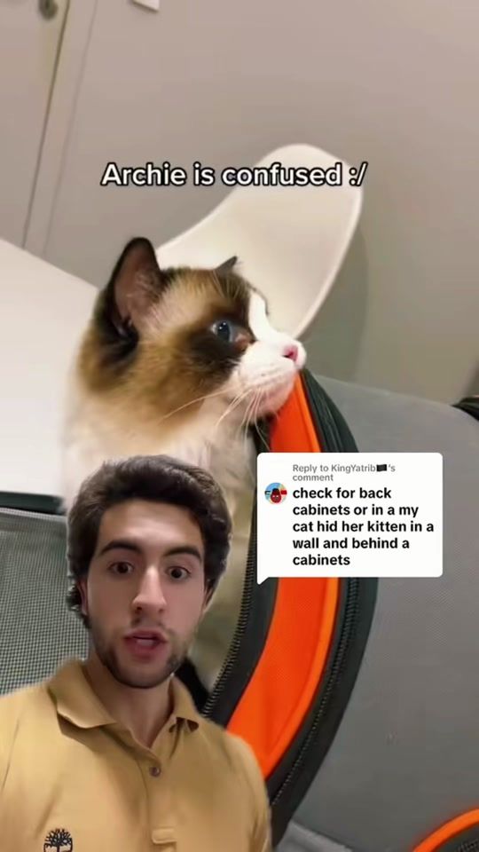 TikTok video thumbnail by ayokaio