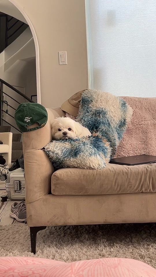 TikTok video thumbnail by amandabreittt