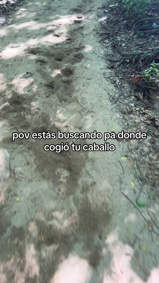 TikTok video thumbnail by atojendel