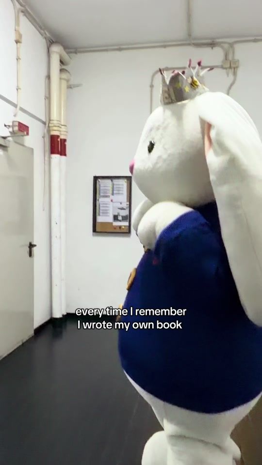 TikTok video thumbnail by meimeithebunny