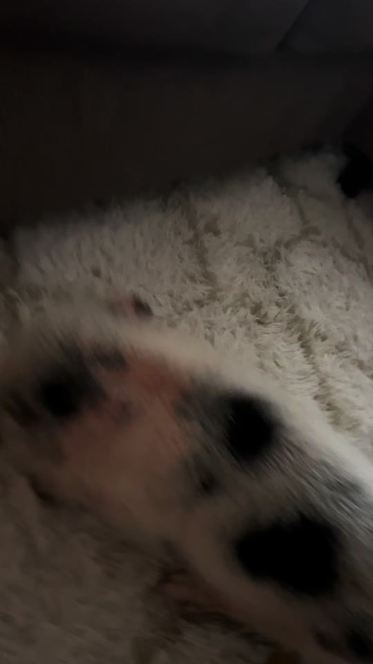 TikTok video thumbnail by missevtdrip