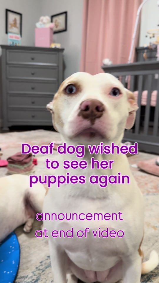 TikTok video thumbnail by make.life.happen