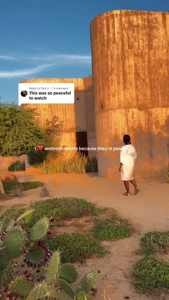 TikTok video thumbnail by _chardaisyy