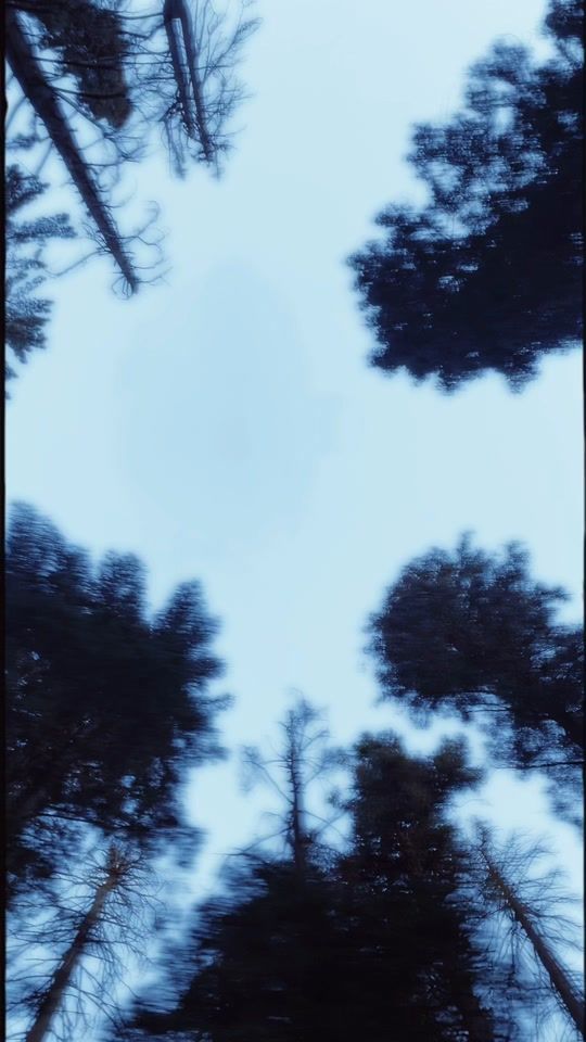 TikTok video thumbnail by lecheblue