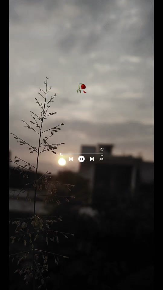 TikTok video thumbnail by luis_lyrics70