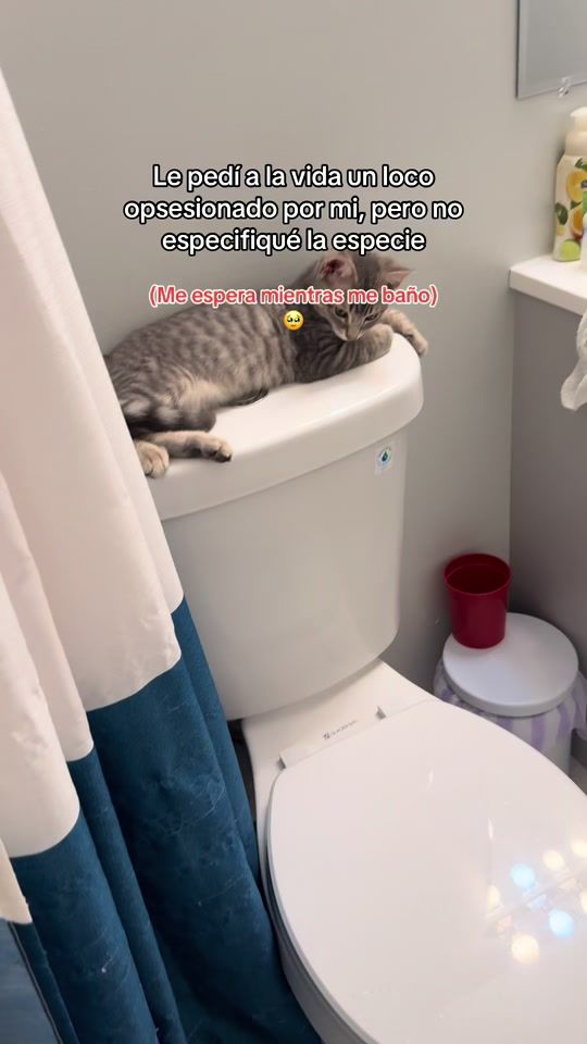 TikTok video thumbnail by babecat11