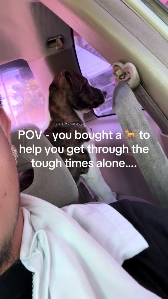 TikTok video thumbnail by official_e2hunnids