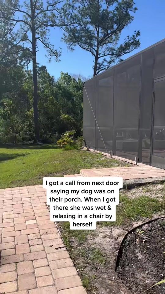 TikTok video thumbnail by sidneypoo