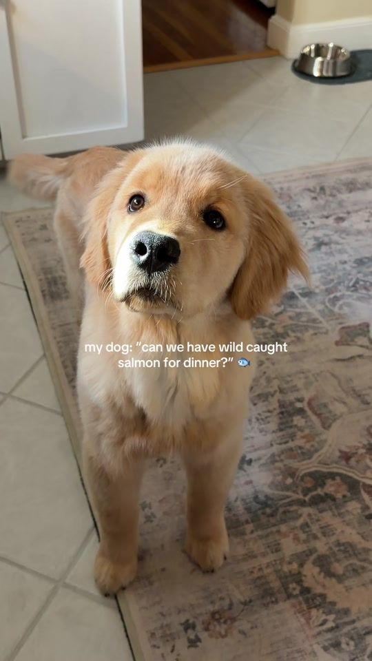 TikTok video thumbnail by claudia.harrington