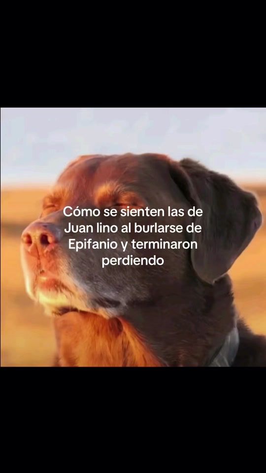 TikTok video thumbnail by confecciones200