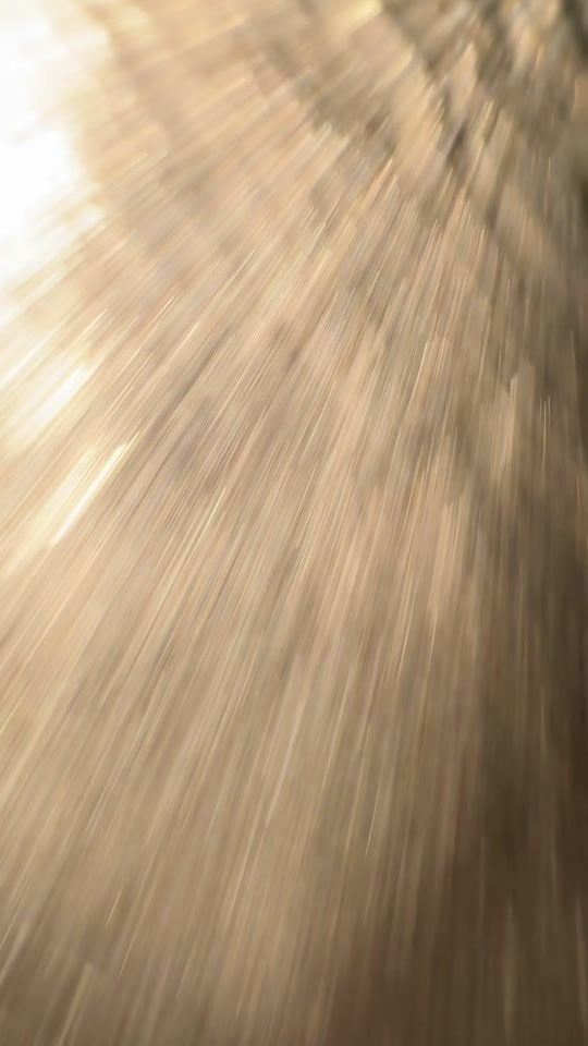 TikTok video thumbnail by losprimosdeleste