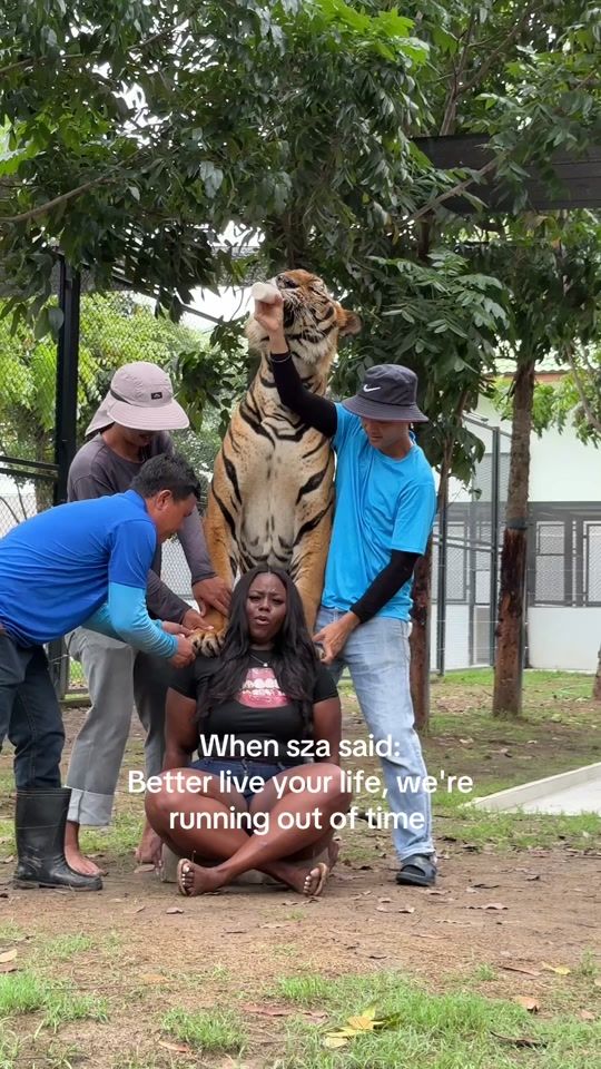 TikTok video thumbnail by meekaa_chocolate