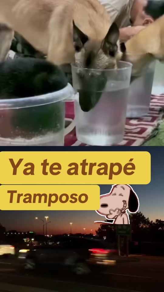 TikTok video thumbnail by tenchoblancotercero