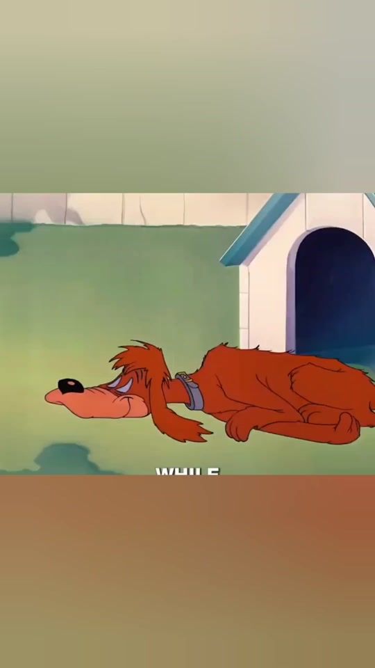 TikTok video thumbnail by muslim._.515