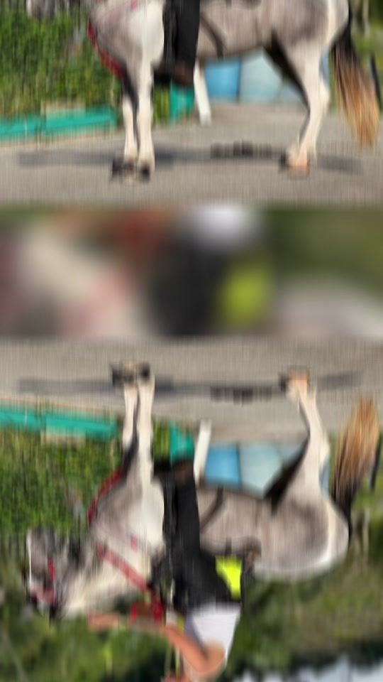 TikTok video thumbnail by danielperez2416