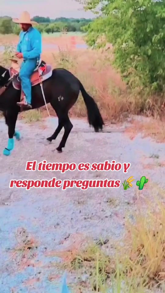 TikTok video thumbnail by sanchezmiguel701