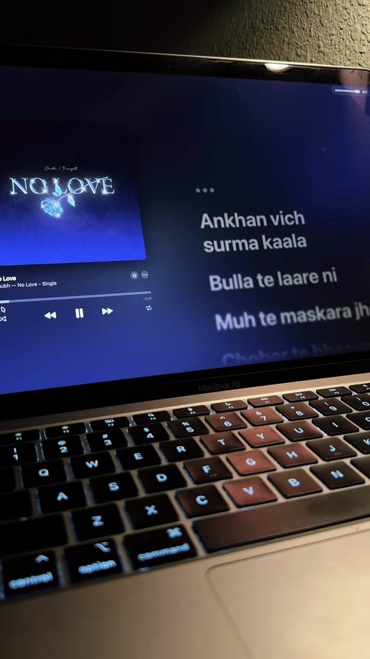 TikTok using No Love