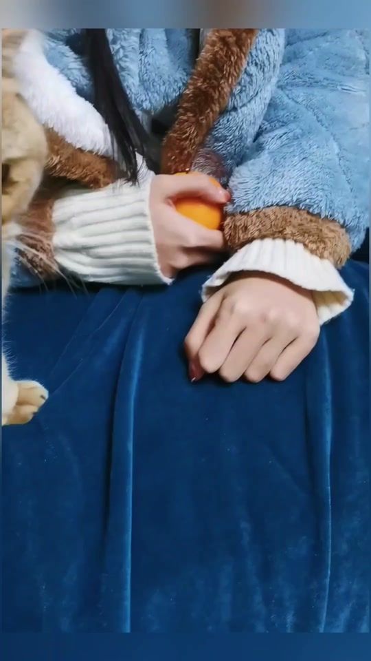 TikTok video thumbnail by happydole_