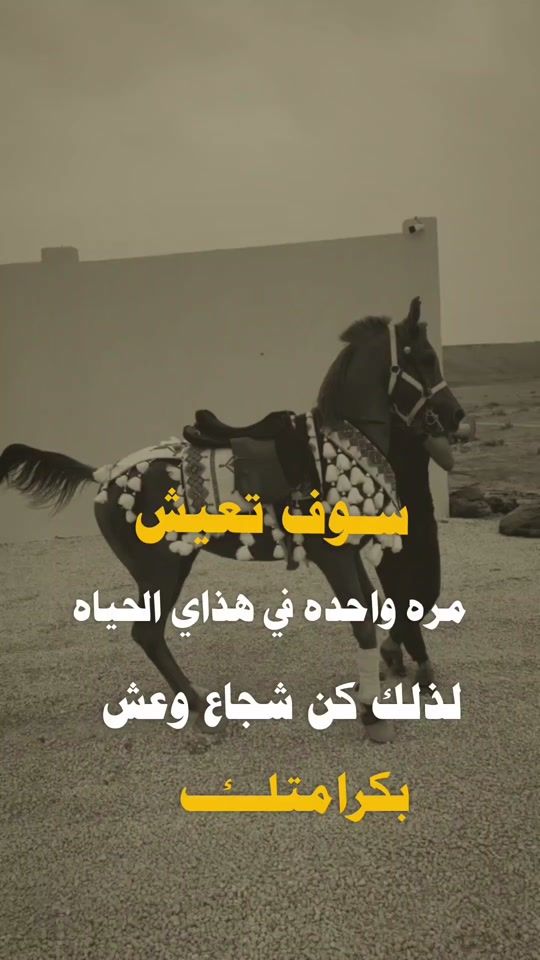 TikTok video thumbnail by 511th11