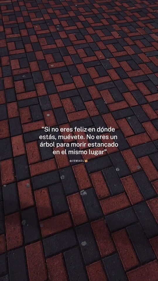 TikTok video thumbnail by daniel.janeta1