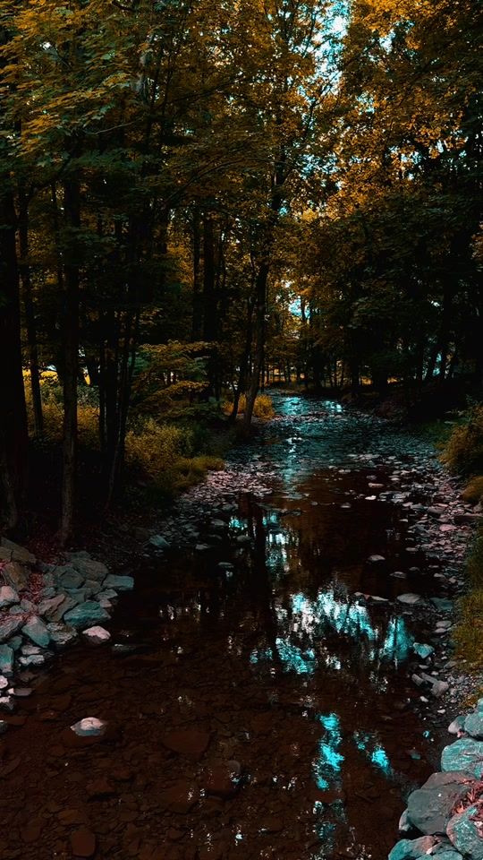 TikTok video thumbnail by _natures_bliss_