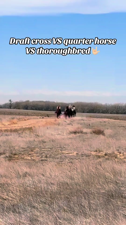 TikTok video thumbnail by sierra_mccartney