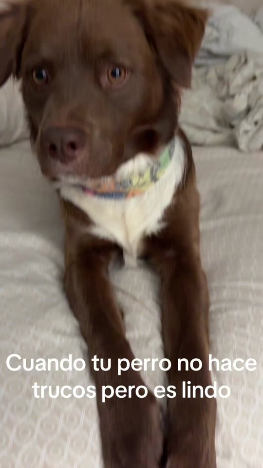 TikTok video thumbnail by jeka0696