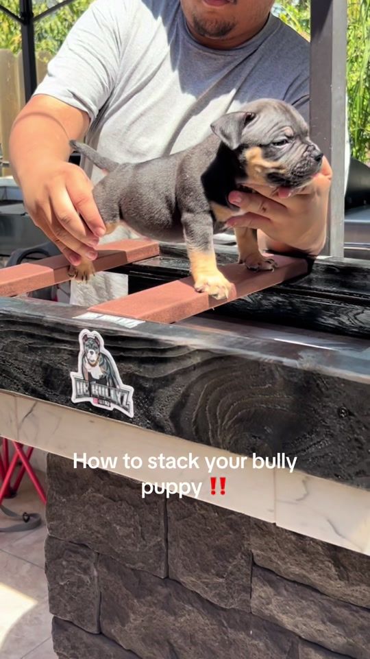 TikTok video thumbnail by debullyz