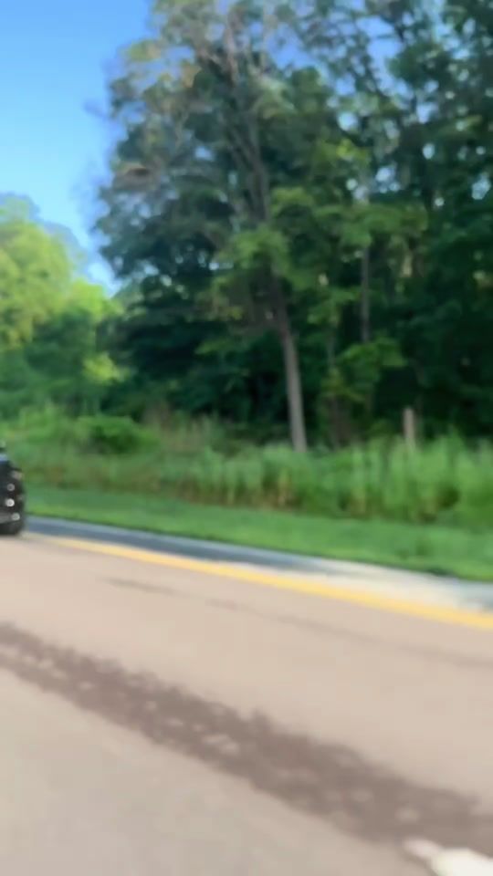 TikTok video thumbnail by malachithompson74