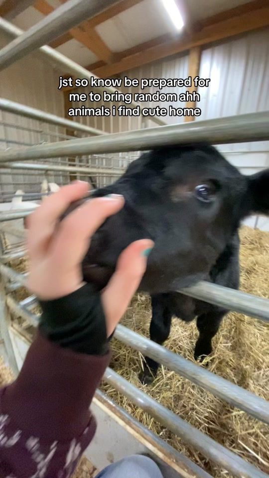 TikTok video thumbnail by pov..jan
