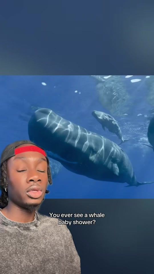 TikTok video thumbnail by mndiaye_97