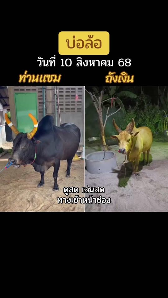 TikTok video thumbnail by wuachon.pp644v.3