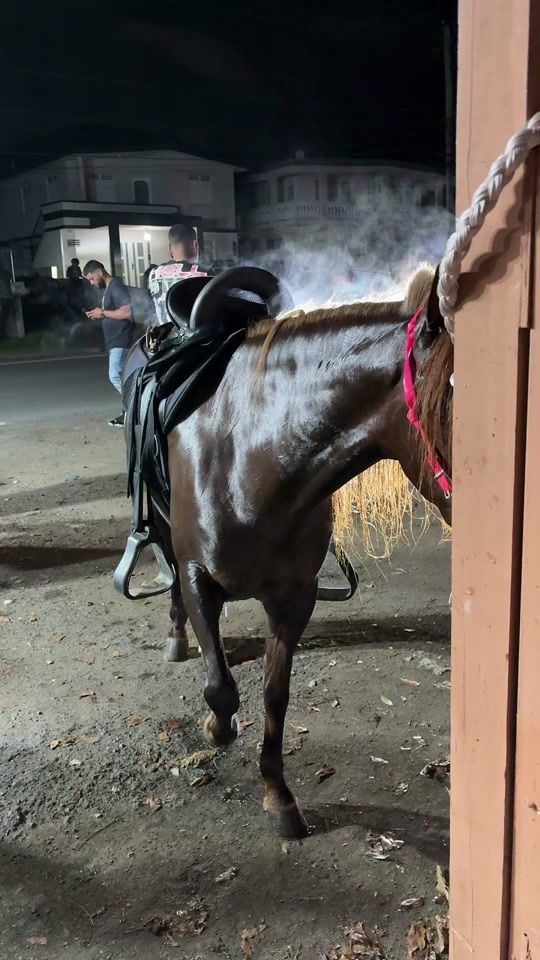 TikTok video thumbnail by zednempm