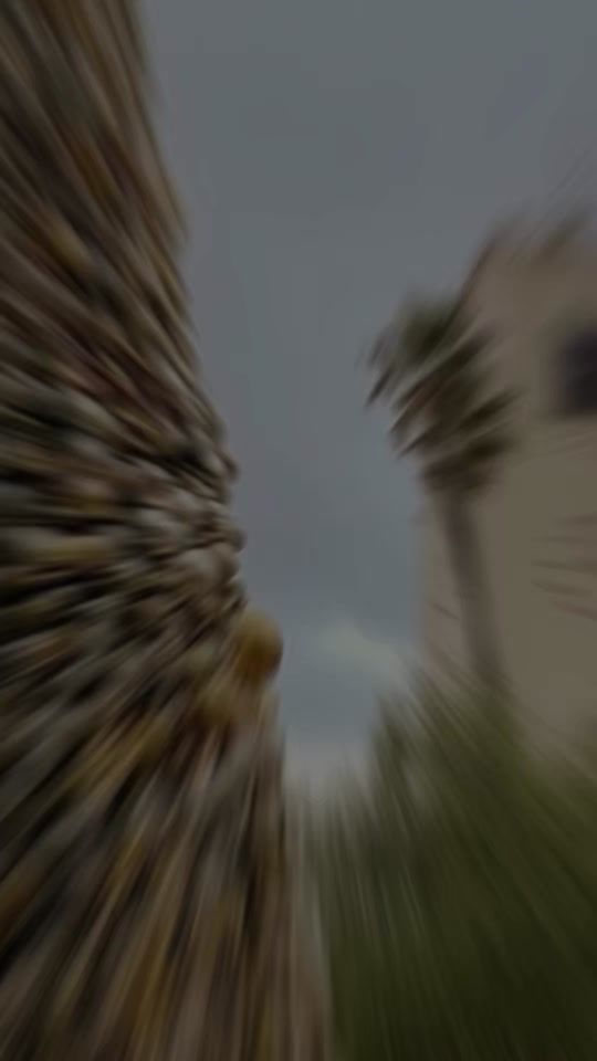 TikTok video thumbnail by vickyjaimecoto