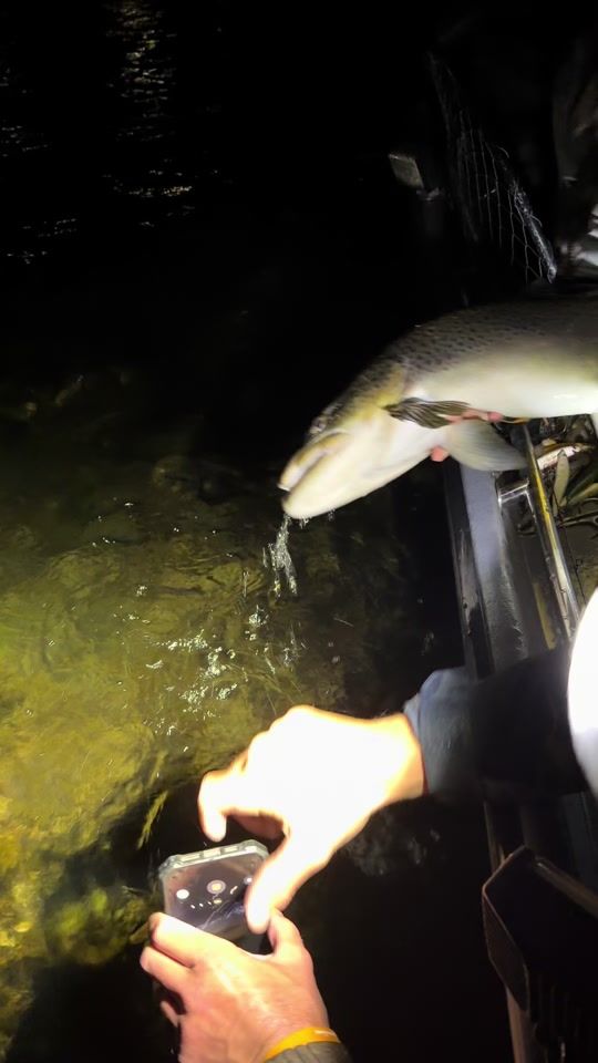 TikTok video thumbnail by chels_fishing
