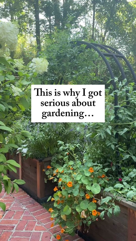 TikTok video thumbnail by gardenary
