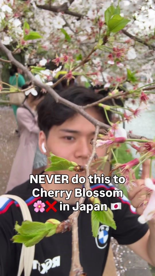 TikTok video thumbnail by japanese_native_class