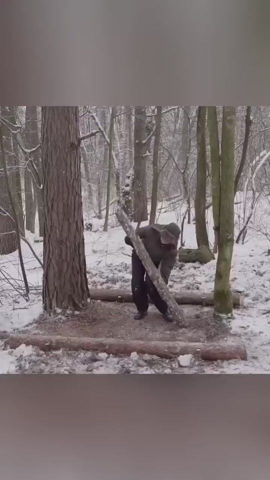 TikTok video thumbnail by freedomflims