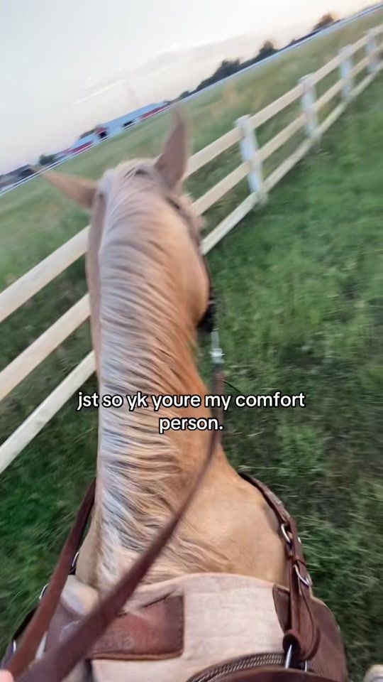TikTok video thumbnail by pov..jan