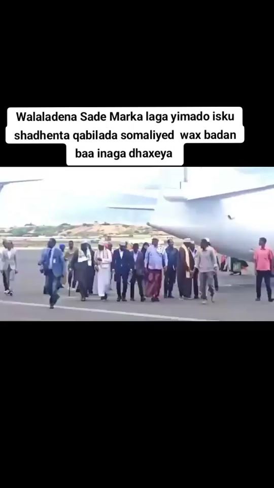 TikTok video thumbnail by qasaye855